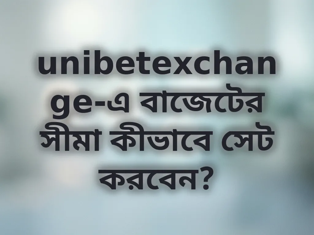 বাজেট লিমিট গাইড